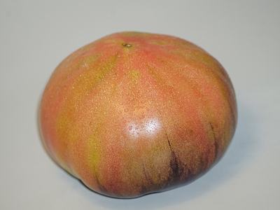cherokee purple variety tomato