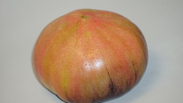 cherokee purple variety tomato
