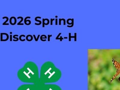 Butterflies and an American flag