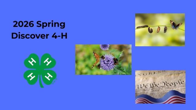 Butterflies and an American flag