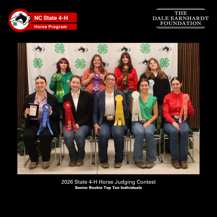 2026 Senior Rookie Horse Judging Top Ten award recipients with their ribbons in front of the NC 4-H Horse Program picture backdrop.