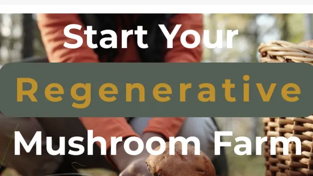 Mushroom Harvesting Picture