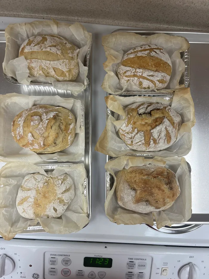 6 loaves baked at recent sourdough workshop