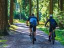 Two adults ride mountain bikes through a wooded trail.