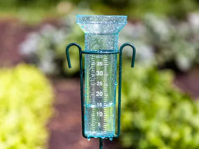 Rain gauge in a garden