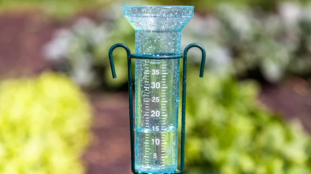 Rain gauge in a garden