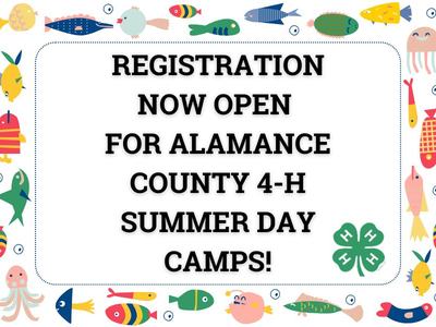 "Registration now open for Alamance County 4-H Summer Day Camps!" with a fish border.