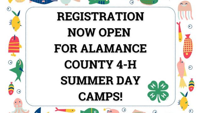 "Registration now open for Alamance County 4-H Summer Day Camps!" with a fish border.