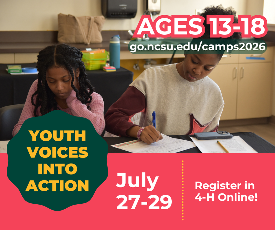 Youth Voices into action, ages 13-18, register on 4-H online