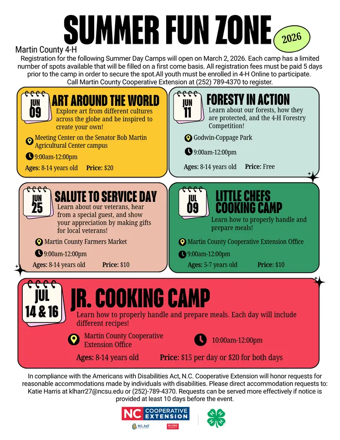 Graphic List of Summer Fun Day Camps that are listed below