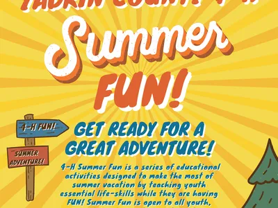 Summer Fun-2026