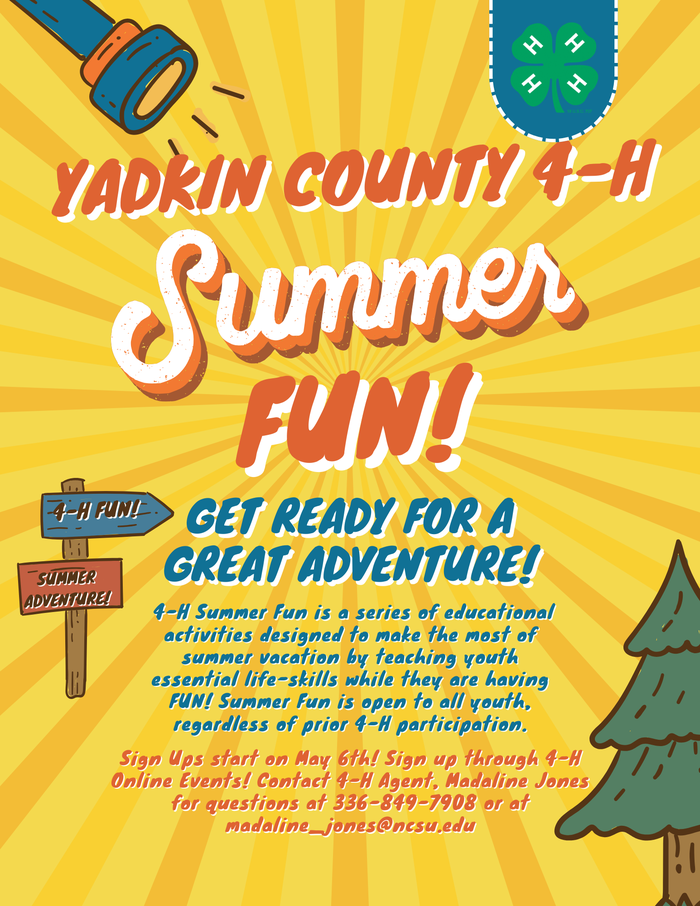 Summer Fun-2026