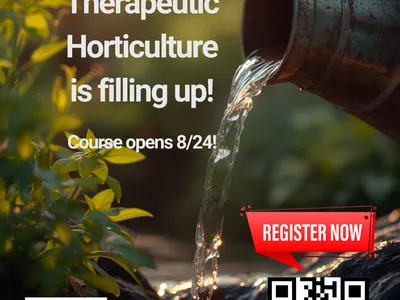 Pitcher fills basin with water