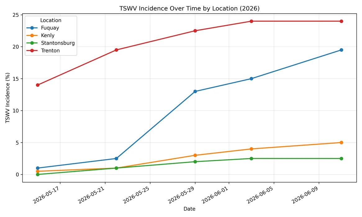 line graph showing the progress over time of TSWV infections in 4 locations in NC