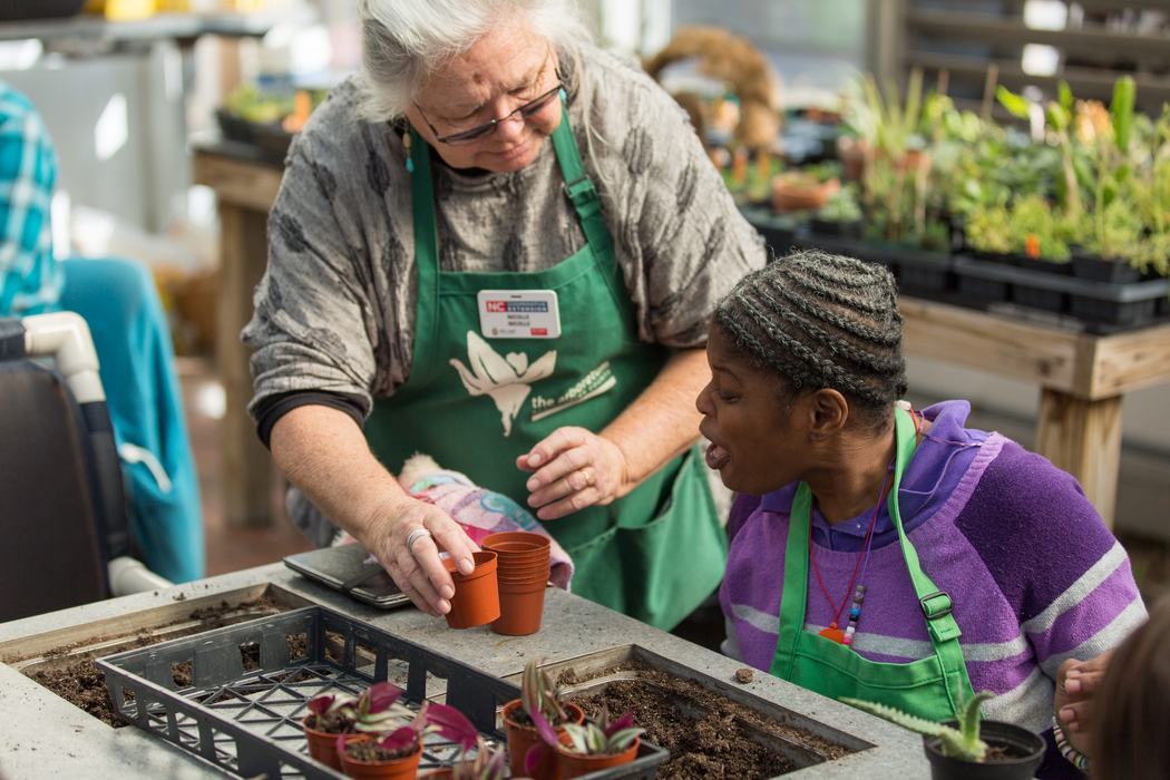 Tabletop work In Lewis Greenhouse