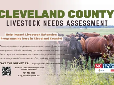 Livestock Needs Assessment