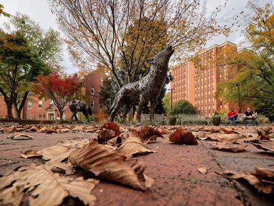 NCSU University Thanksgiving Break Campus image