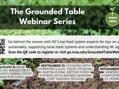 The Grounded Table webinar series graphic