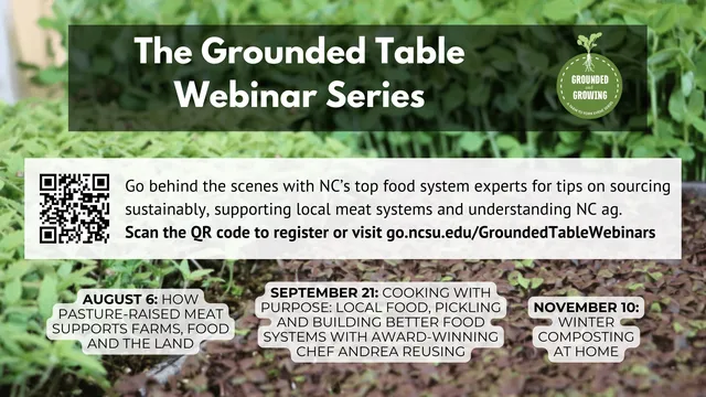 The Grounded Table webinar series graphic