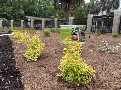 The newly planted NC State Horticulture Showcase garden features plants bred by NC State Professor Dr. Tom Ranney.