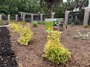 The newly planted NC State Horticulture Showcase garden features plants bred by NC State Professor Dr. Tom Ranney.
