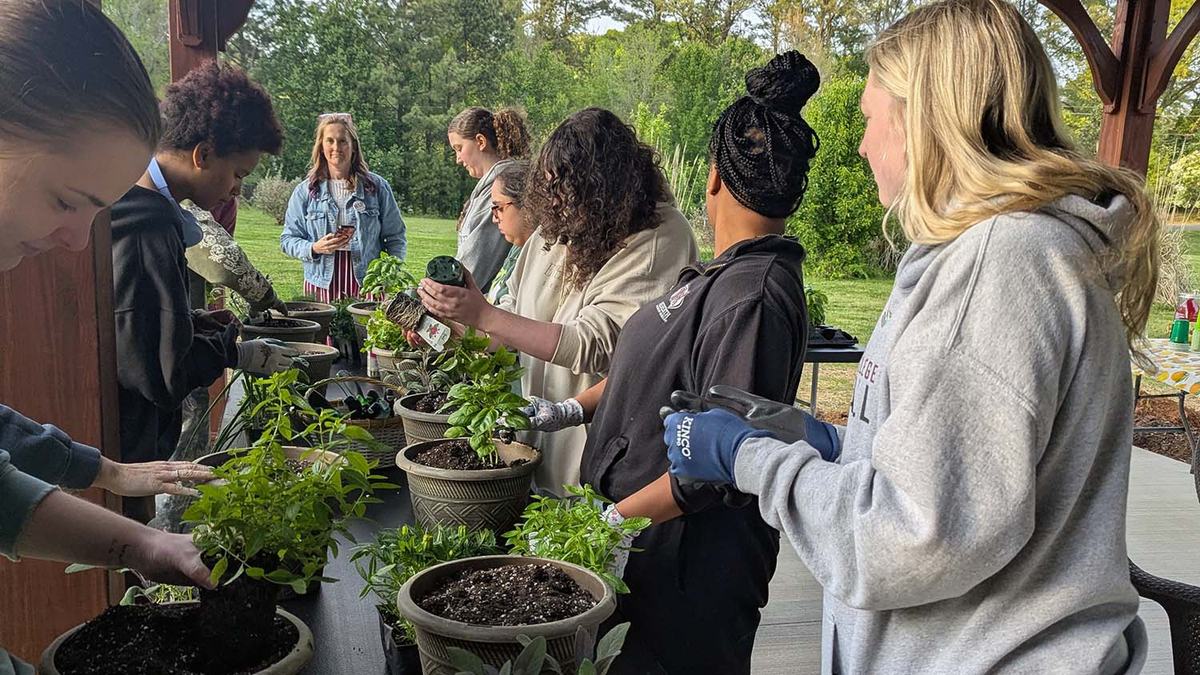 College students put plants in pots