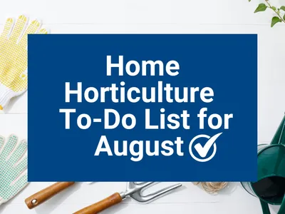 Home Horticulture To-Do List for August