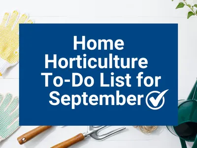 Home Horticulture To-Do List for September
