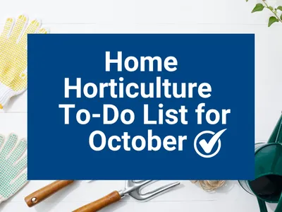 Your Home Horticulture To-Do List for October