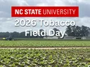 flyer for 2026 tobacco field day