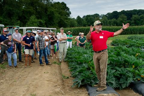 Person talking to tour group in tomato field
