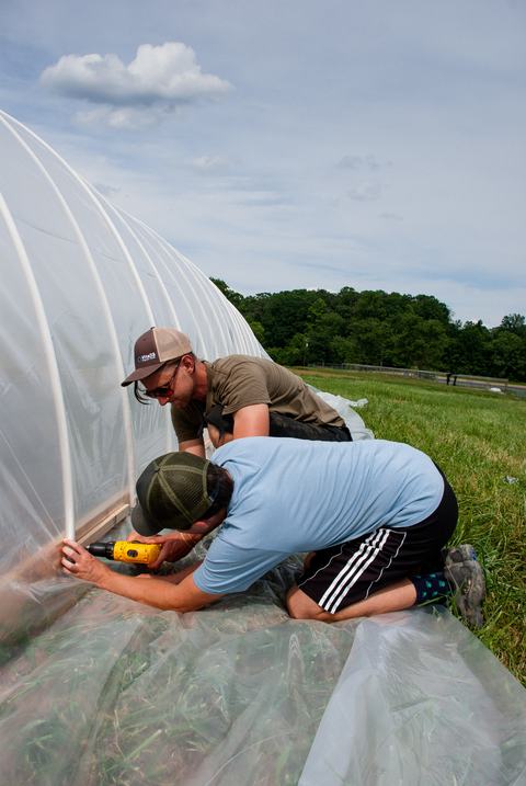 Two people securing plastic covering to hoop house