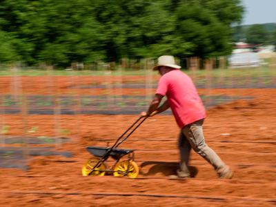 Person using automatic seeder