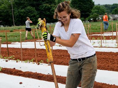 Person driving tomato stakes