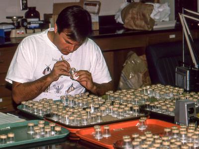 Person evaluating bioassay in laboratory