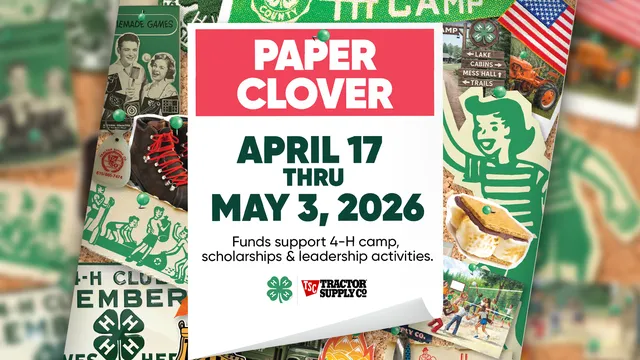Flyer promoting the Tractor Supply spring Paper Clover campaign from April 17 through May 3, 2026. The graphic notes that Paper Clover donations support 4-H camp, scholarships, and leadership activities.