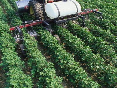 Tractor in field spraying chemical.