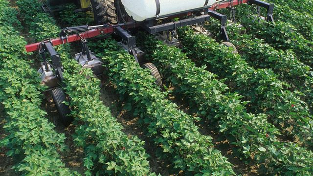 Tractor in field spraying chemical.
