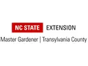 Transylvania EMGV Logo