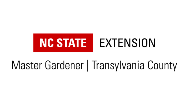 Transylvania EMGV Logo