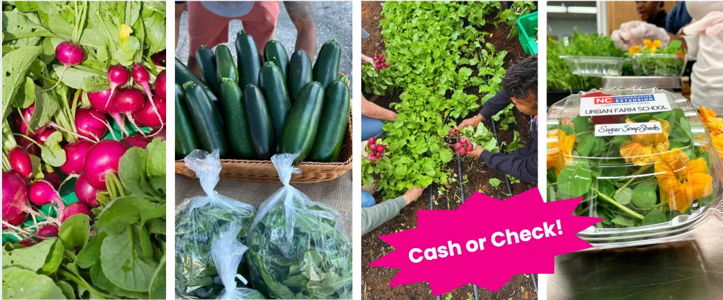 Urban Farm School produce and students in action