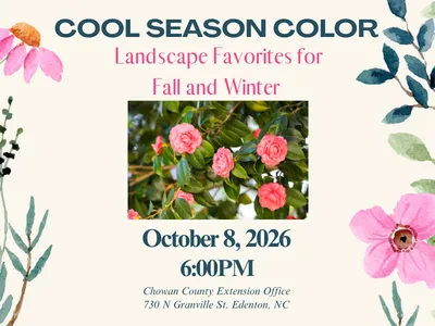 October 8, 2026 Cool Season Color