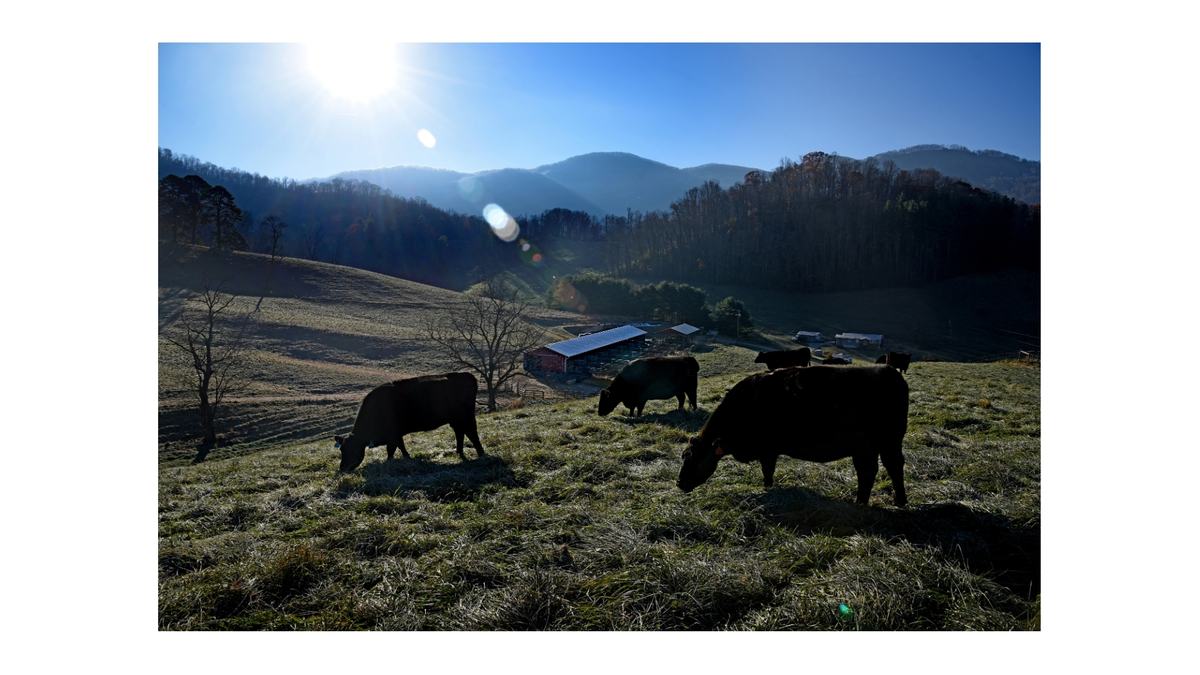 Haywood Co