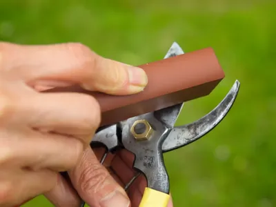 Tool Sharpening