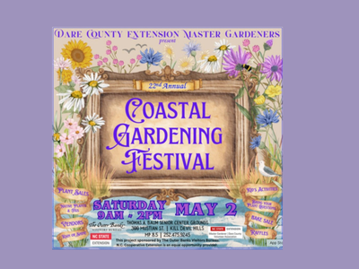 Garden, Flowers, birds