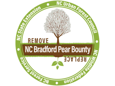 Bradford Pear Bounty Logo