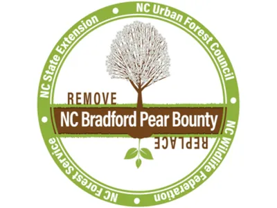 Bradford Pear Bounty Logo