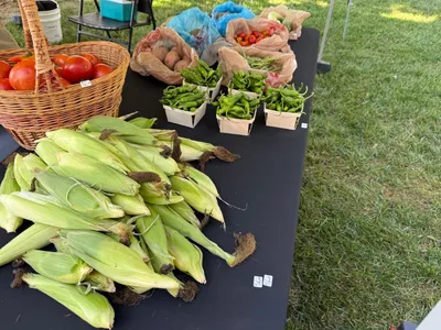 Table with corn, tomatoes, peppers