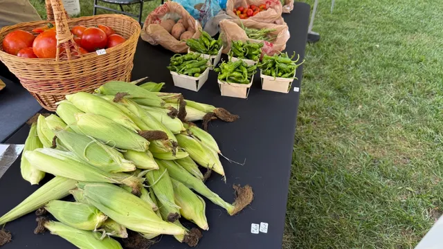 Table with corn, tomatoes, peppers