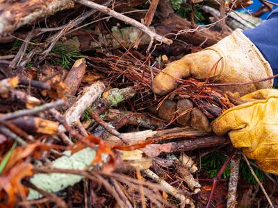 Decomposing yard matter